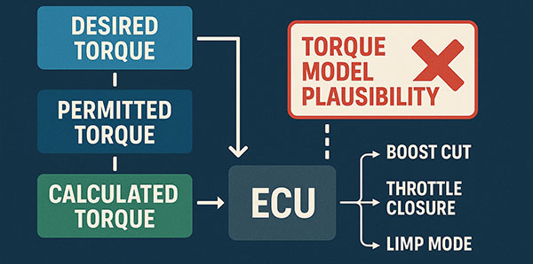 Disabilitazione del monitoraggio della coppiaoring - Plausibilità della coppia ECU model